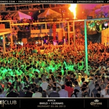 bwild_avicci-crowd